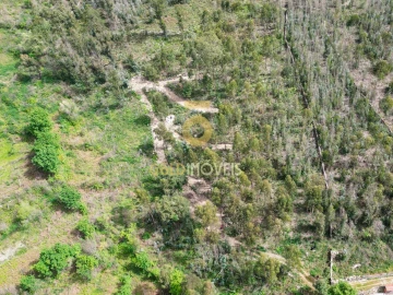 Terreno Agricola ou Rústico para Venda em Vila Boa do Bispo
