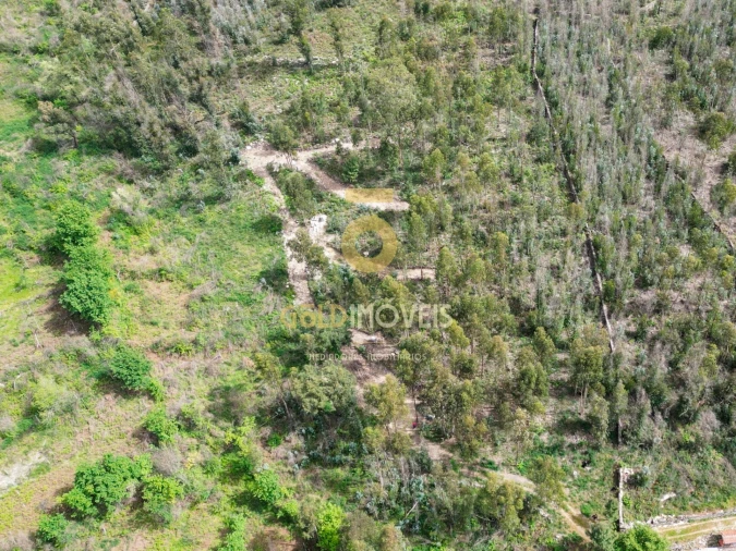 Terreno Agricola ou Rústico para Venda em Vila Boa do Bispo Foto 2