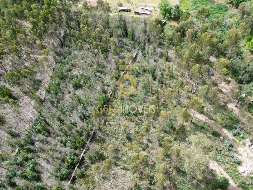 Terreno Agricola ou Rústico para Venda em Vila Boa do Bispo Foto 1