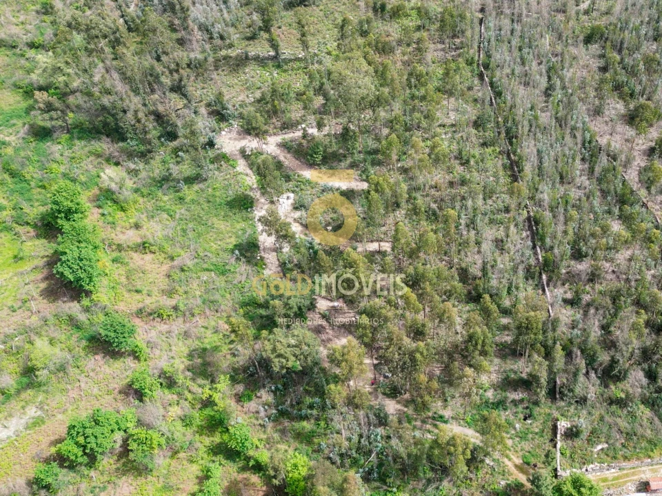Terreno Agricola ou Rústico para Venda em Vila Boa do Bispo Foto 2