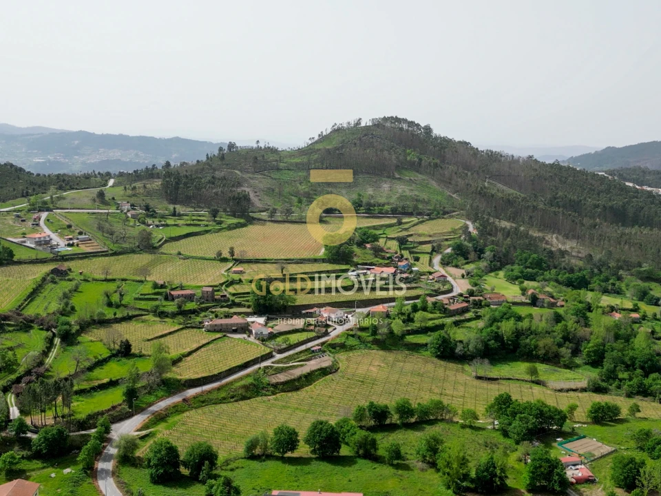 Terreno Agricola ou Rústico para Venda em Vila Boa do Bispo Foto 4