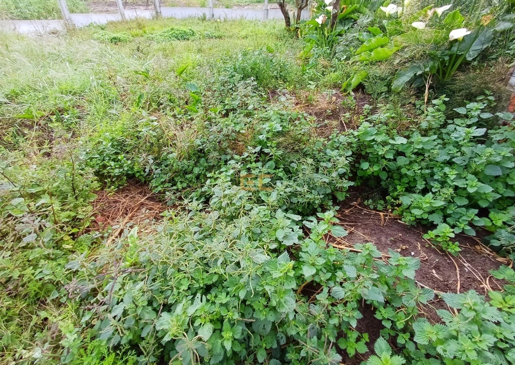 Moradia T3 para Venda em Quiaios Foto 49