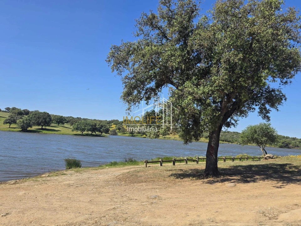 Moradia T1 para Venda em Campo e Campinho Foto 18