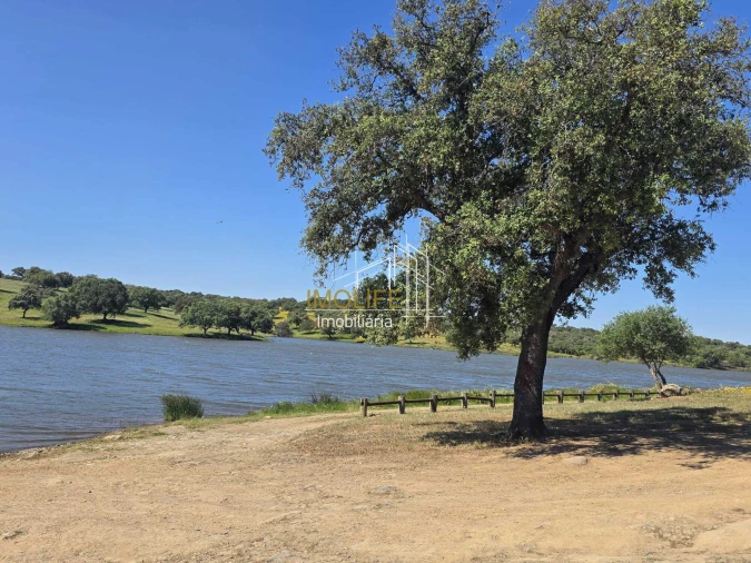 Moradia T1 para Venda em Campo e Campinho Foto 17