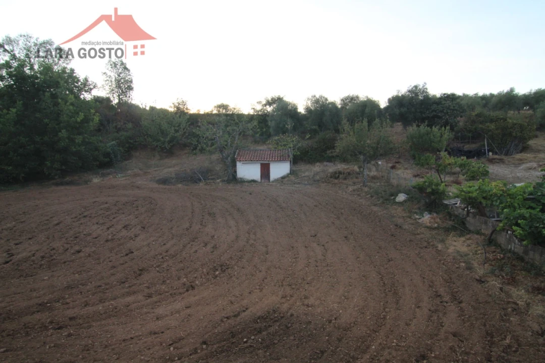 Moradia T4 para Venda em Salselas Foto 35