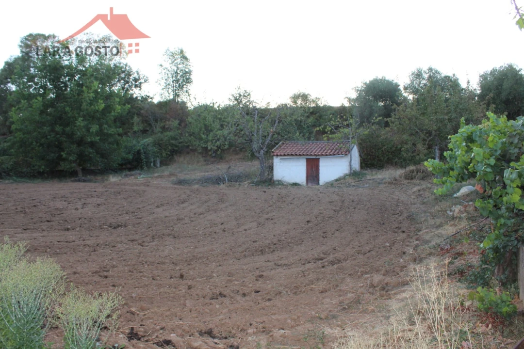 Moradia T4 para Venda em Salselas Foto 36