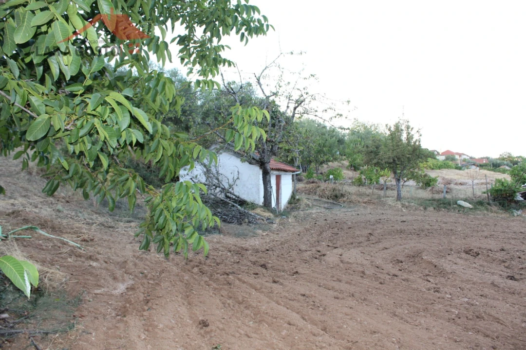 Moradia T4 para Venda em Salselas Foto 38