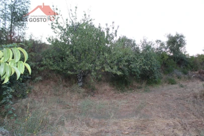 Moradia T4 para Venda em Salselas