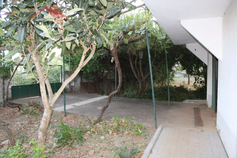 Moradia T4 para Venda em Salselas Foto 23