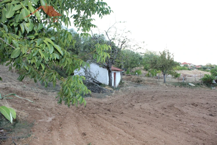 Moradia T4 para Venda em Salselas Foto 38