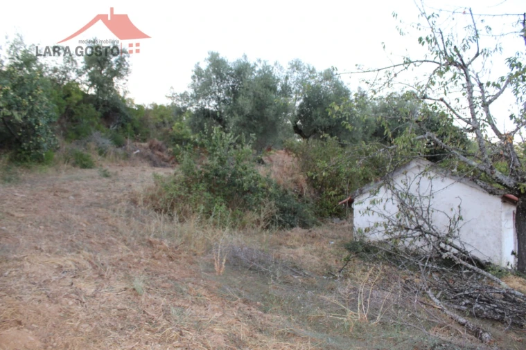 Moradia T4 para Venda em Salselas Foto 39