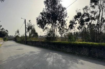 Terreno para Venda em Ovar, São João, Arada e São Vicente de Pereira Jusã