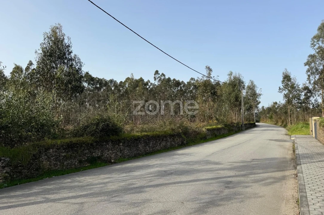 Terreno para Venda em Ovar, São João, Arada e São Vicente de Pereira Jusã Foto 6