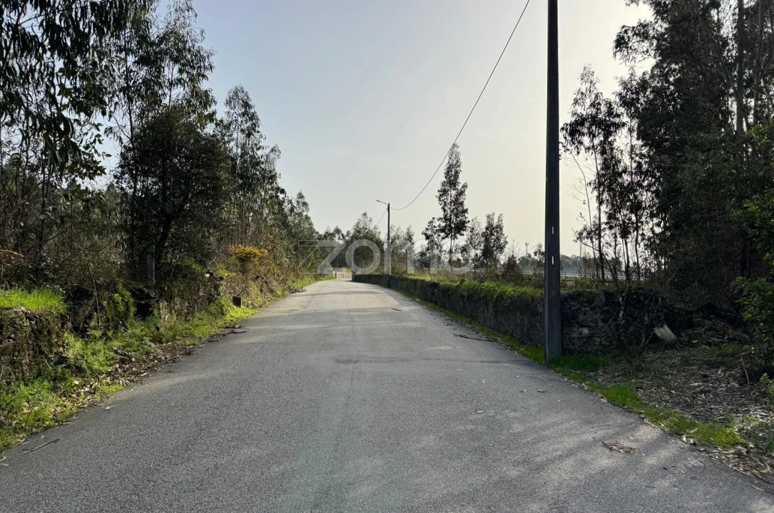 Terreno para Venda em Ovar, São João, Arada e São Vicente de Pereira Jusã Foto 10