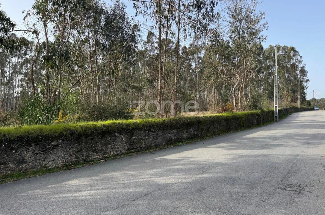 Terreno para Venda em Ovar, São João, Arada e São Vicente de Pereira Jusã Foto 7