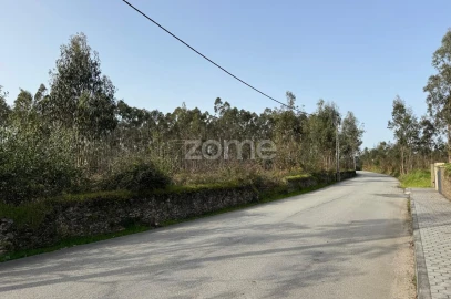 Terreno para Venda em Ovar, São João, Arada e São Vicente de Pereira Jusã