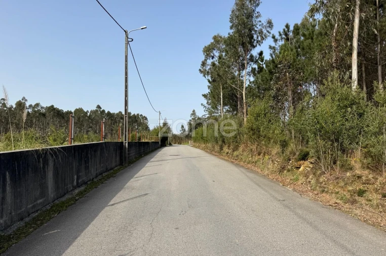 Terreno para Venda em Ovar, São João, Arada e São Vicente de Pereira Jusã Foto 5