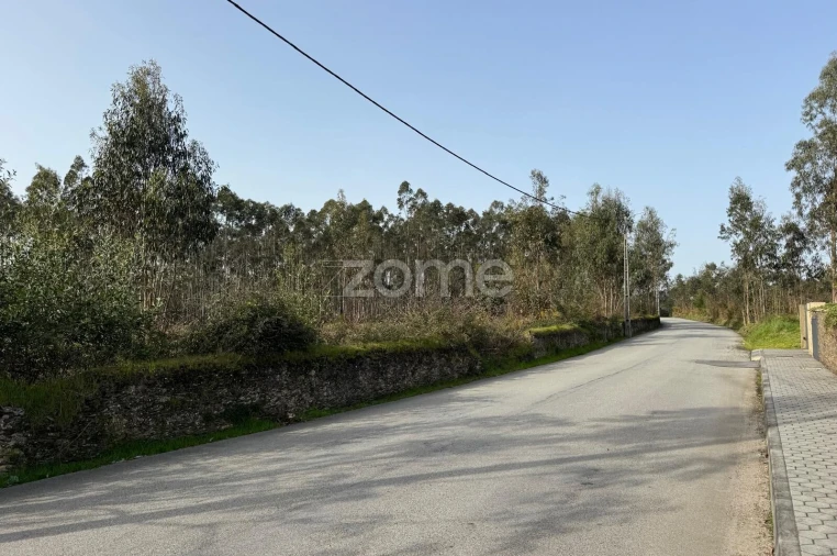 Terreno para Venda em Ovar, São João, Arada e São Vicente de Pereira Jusã Foto 6