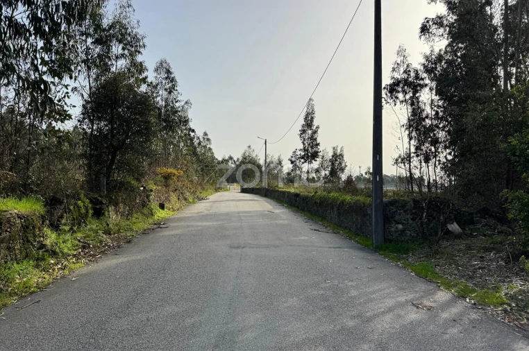Terreno para Venda em Ovar, São João, Arada e São Vicente de Pereira Jusã Foto 9