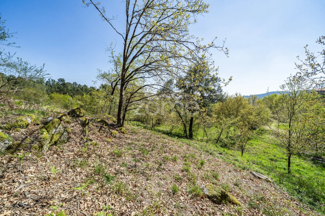 Terreno para Venda em Infantas Foto 11