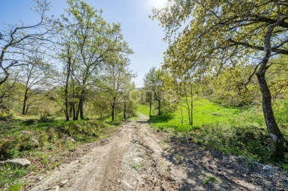 Terreno para Venda em Infantas