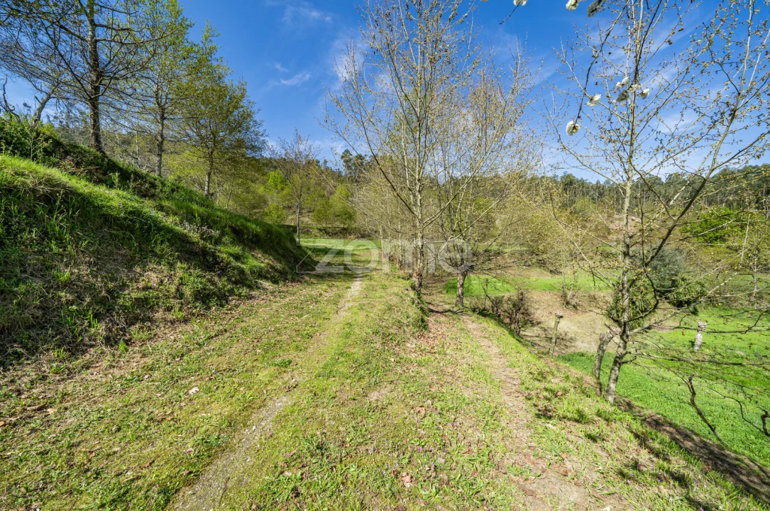 Terreno para Venda em Infantas Foto 4