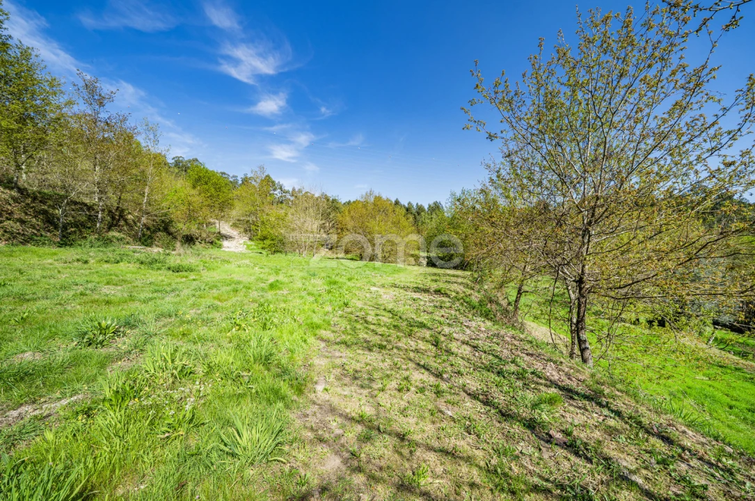 Terreno para Venda em Infantas Foto 7