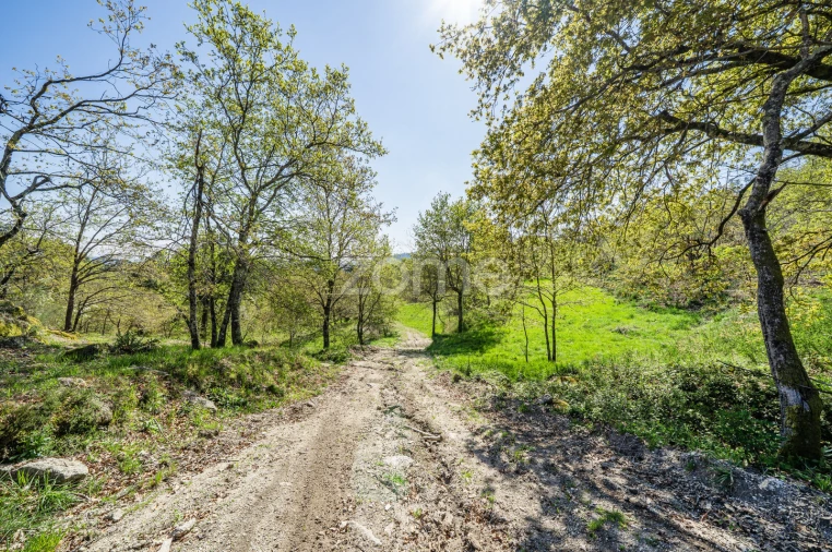 Terreno para Venda em Infantas Foto 13