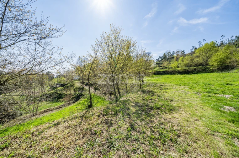 Terreno para Venda em Infantas Foto 14