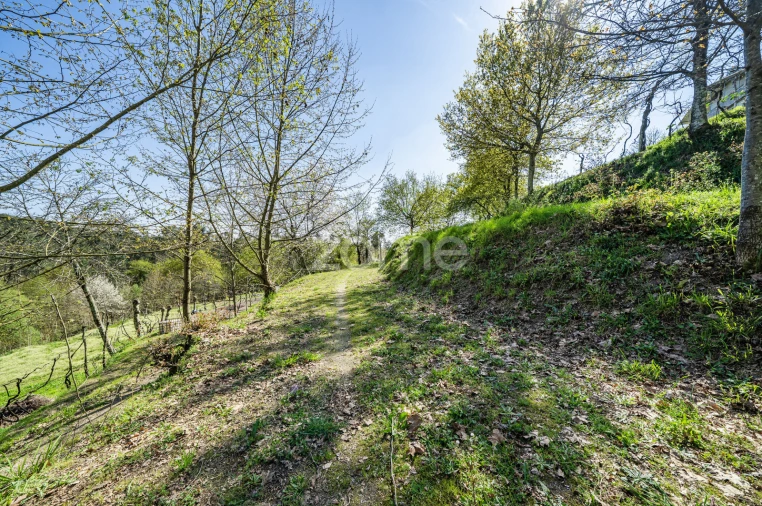 Terreno para Venda em Infantas Foto 15