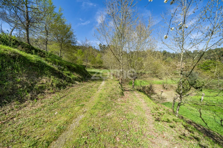 Terreno para Venda em Infantas Foto 4