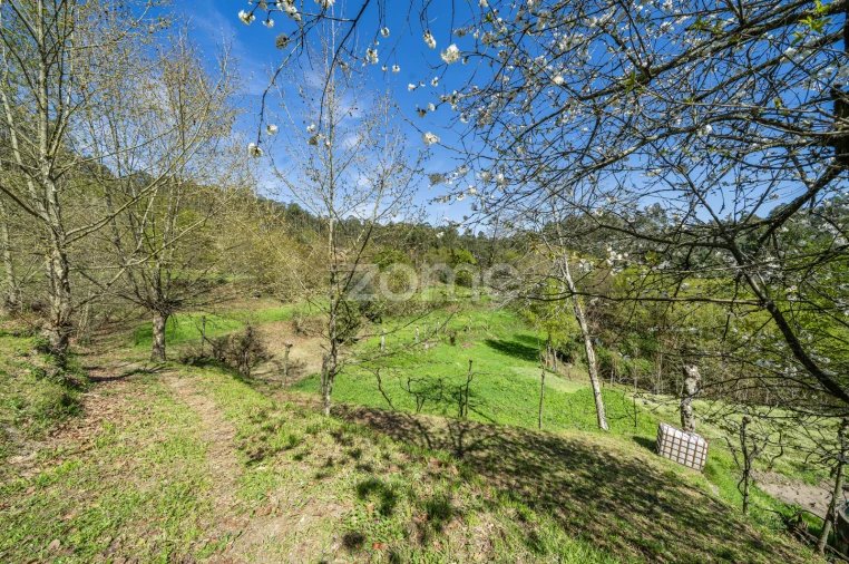 Terreno para Venda em Infantas Foto 5