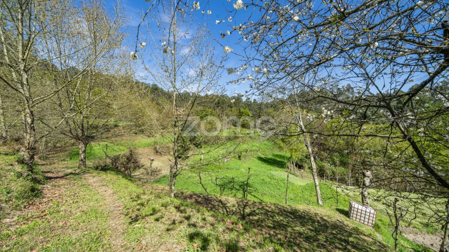 Terreno para Venda em Infantas