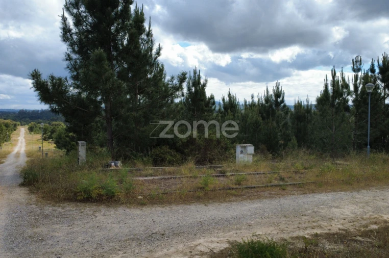 Terreno para Venda em Quinta do Conde Foto 6