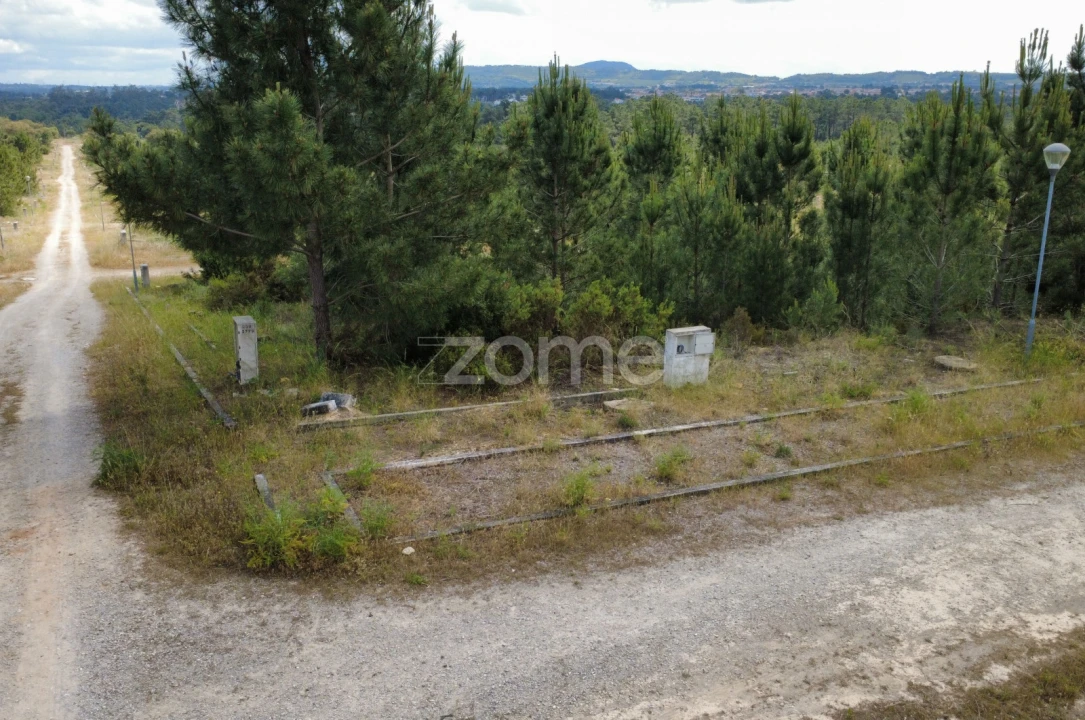 Terreno para Venda em Quinta do Conde Foto 4
