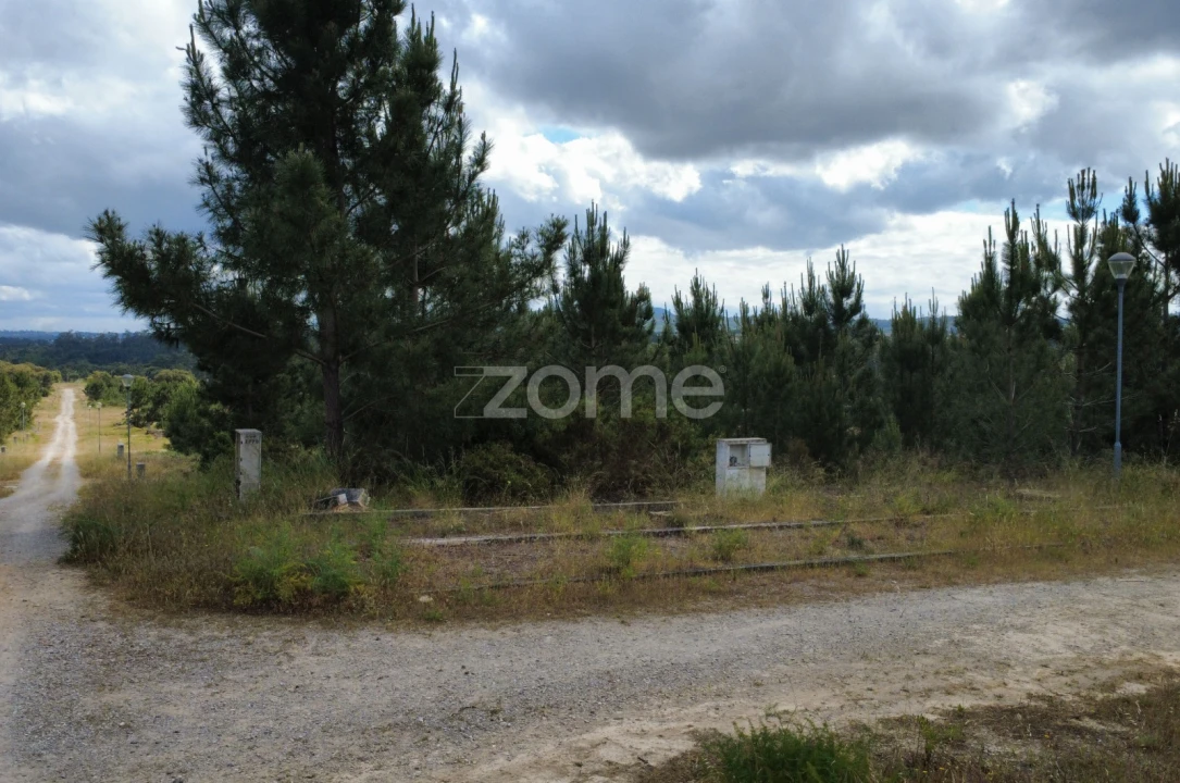 Terreno para Venda em Quinta do Conde Foto 6