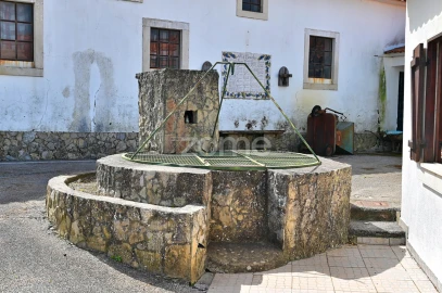 Quinta T7 para Venda em Manique do Intendente, Vila Nova de São Pedro e Maçussa