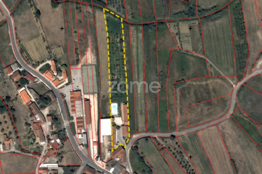 Quinta T7 para Venda em Manique do Intendente, Vila Nova de São Pedro e Maçussa Foto 56