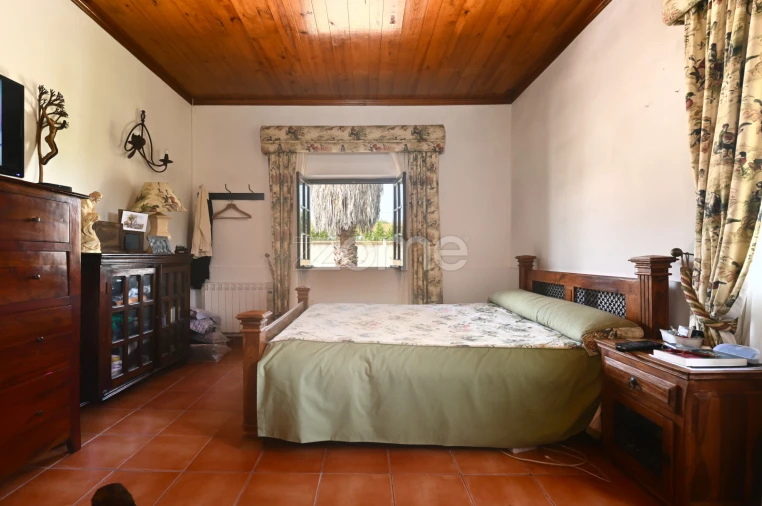 Quinta T7 para Venda em Manique do Intendente, Vila Nova de São Pedro e Maçussa Foto 41