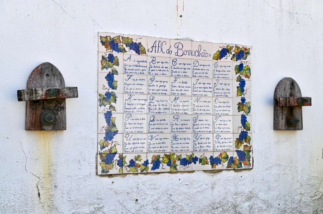 Quinta T7 para Venda em Manique do Intendente, Vila Nova de São Pedro e Maçussa Foto 54