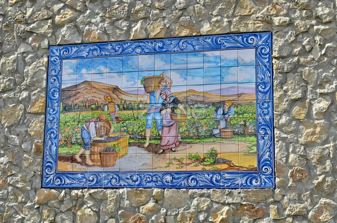 Quinta T7 para Venda em Manique do Intendente, Vila Nova de São Pedro e Maçussa Foto 6