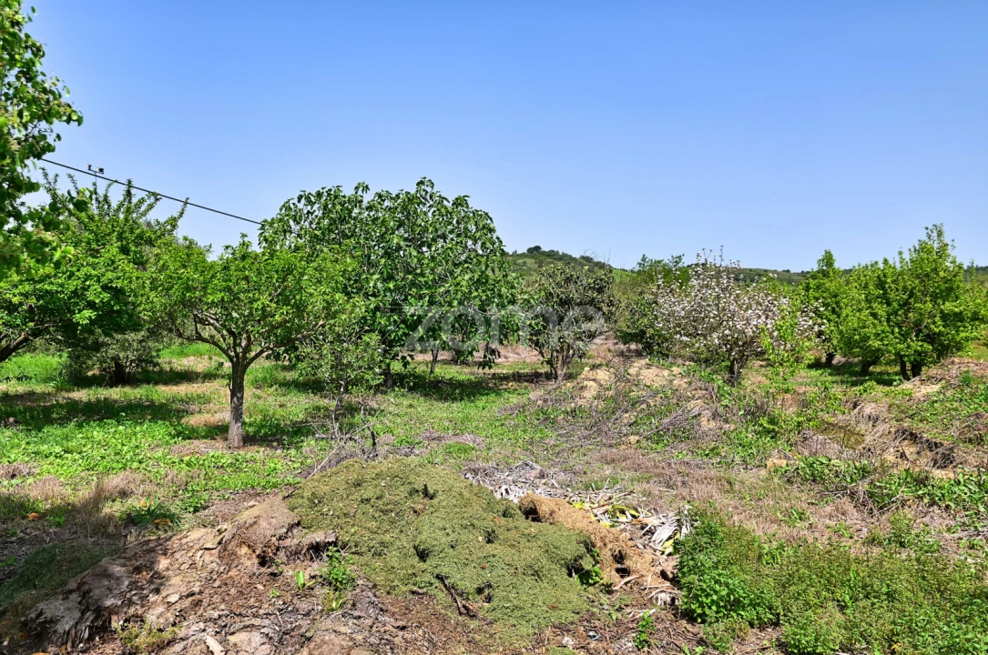 Quinta T7 para Venda em Manique do Intendente, Vila Nova de São Pedro e Maçussa Foto 55