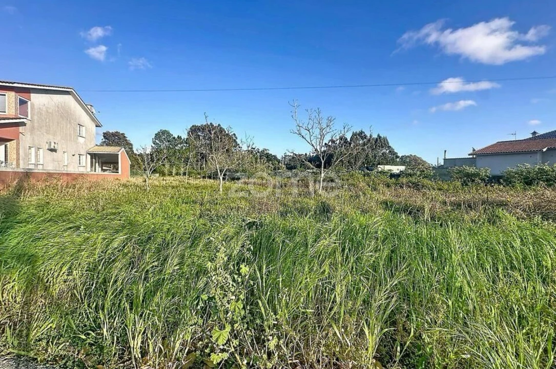 Terreno para Venda em Covões e Camarneira Foto 11