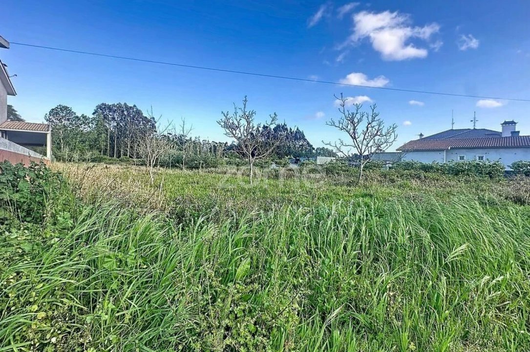 Terreno para Venda em Covões e Camarneira Foto 9