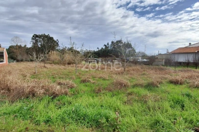 Terreno para Venda em Covões e Camarneira