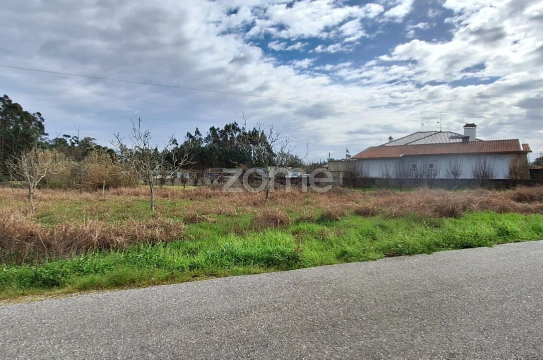 Terreno para Venda em Covões e Camarneira Foto 6