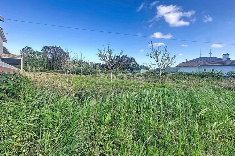 Terreno para Venda em Covões e Camarneira Foto 9