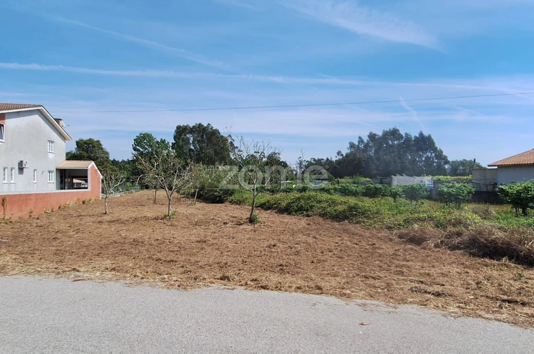 Terreno para Venda em Covões e Camarneira Foto 19