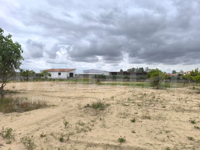 Quinta T3 para Venda em Salvaterra de Magos e Foros de Salvaterra Foto 21