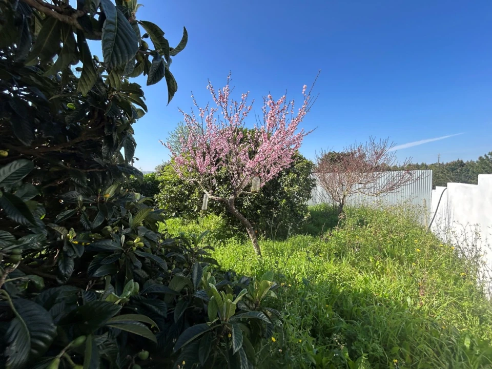 Moradia T3 para Venda em Lourinhã e Atalaia Foto 8